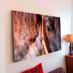 Caballos 59 - tienda online
