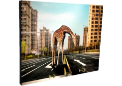 Portallaves de pared Jirafas 61 - comprar online