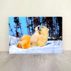 Animales Varios 62 - comprar online