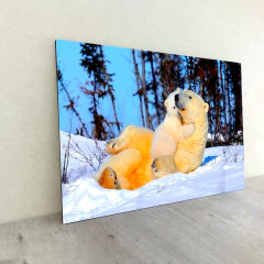 Animales Varios 62 en internet