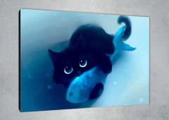 Gatos 63 - MetaXroma