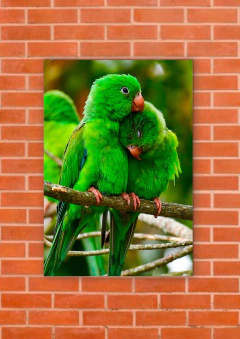 Pájaros 63 - tienda online