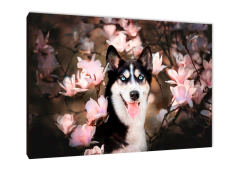Perros 65 - comprar online