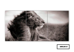 Tríptico simple Leones 67 - comprar online