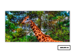 Tríptico simple Jirafas 68 - comprar online