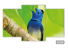 Tríptico escalonado Pájaros 69 - comprar online