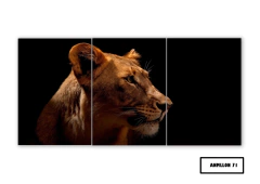 Tríptico simple Leones 71 - comprar online