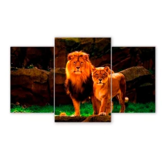 Tríptico escalonado Leones 75
