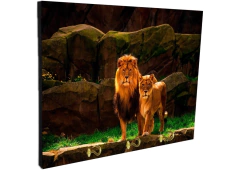 Portallaves de pared Leones 75 - comprar online