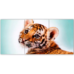 Tríptico simple Tigres 79