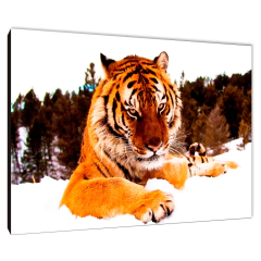 Tigres 81 - comprar online