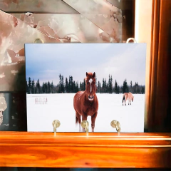 Portallaves de pared Caballos 82 - comprar online