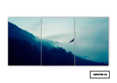 Tríptico simple Pájaros 86 - comprar online