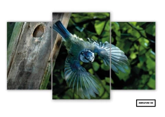Tríptico escalonado Pájaros 88 - comprar online