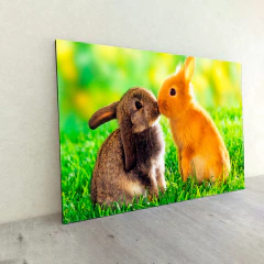 Animales Varios 88 en internet