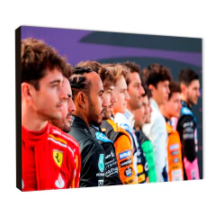 Formula 1 Varios 9 - comprar online