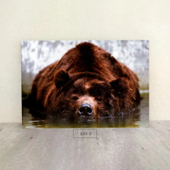 Animales Varios 9 - comprar online