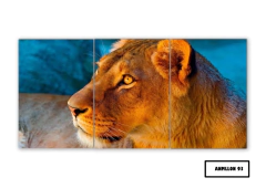 Tríptico simple Leones 93 - comprar online