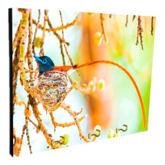 Portallaves de pared Pájaros 96