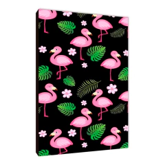 Flamencos 96