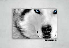 Lobos 1 en internet