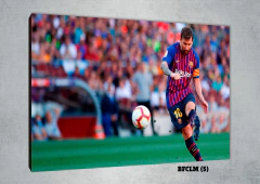Fútbol Club Barcelona (BFCLM) 5 en internet