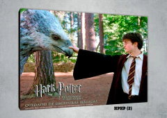Harry Potter 2 - comprar online