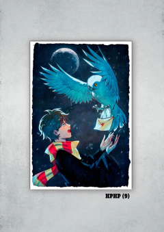 Harry Potter 9