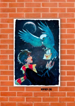 Harry Potter 9 en internet