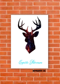 Patronus 8 en internet