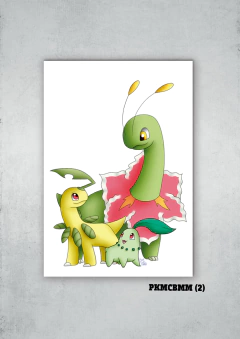 Chikorita, Bayleef, Meganium 2