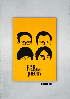 Big Bang Theory 9