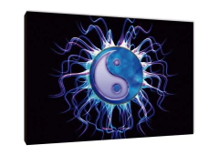 Yin Yang 6