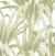 Papel de Parede Bucalo - Botany House - Leaves 15525 - comprar online