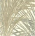 Papel de Parede Interior Affairs - Folhagem 218742 - comprar online