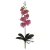 114653 H.Orquidea Phalaenopsis Real Toque c/ folha X7 Rosa