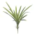 114814 F. Folha de Orquidea real toque X15(verde creme) 66cm