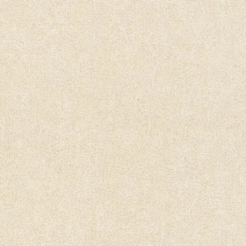Concrete - Texture CÓDIGO: 554434 FABRICANTE: RASCH RAPPORT: 0 CM METRAGEM: 10,05 X 0,53 M