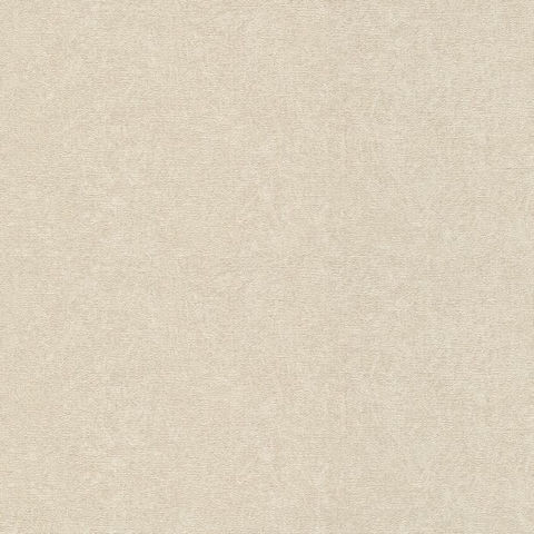 Concrete - Texture CÓDIGO: 554458 FABRICANTE: RASCH RAPPORT: 0 CM METRAGEM: 10,05 X 0,53 M