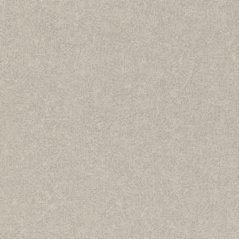 Concrete - Texture CÓDIGO: 554489 FABRICANTE: RASCH RAPPORT: 0 CM METRAGEM: 10,05 X 0,53 M