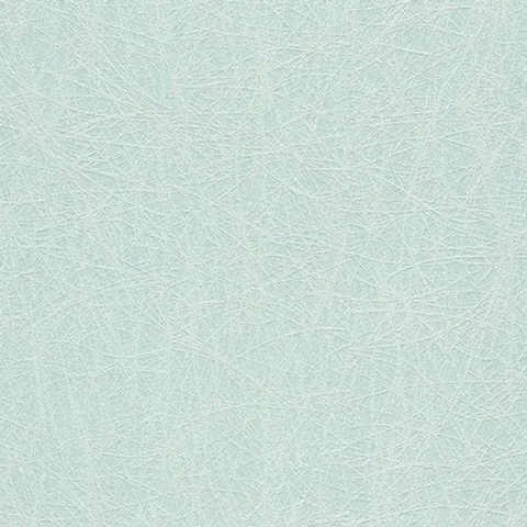 Deco Style - Teia CÓDIGO: 602012 FABRICANTE: RASCH RAPPORT: 0 CM METRAGEM: 10 METROS X 53 CM