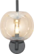 ARANDELA - APPLE AR-31098-BA - STARLUX