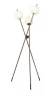 COLUNA - APPLE CO-LD31098-3 - STAR LUX