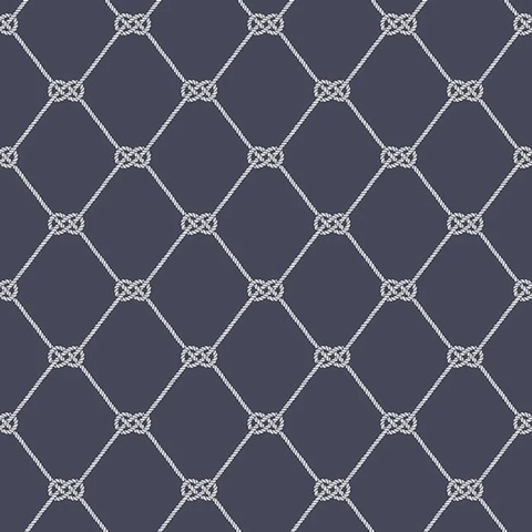 Deauville 2 - Corda CÓDIGO: G23346 FABRICANTE: GALERIE RAPPORT: 13,25 CM METRAGEM: 10 METROS X 53 CM