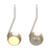 Iris Suspenso - PIX 3.650.7043