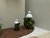Álbum de fotos, de jardins feitos com Plantas Permanente - Móveis planejados, Móveis soltos, Iluminação, Cortinas e Persianas, Decoração,Floricultura Permanente, Tapetes e Papel de Parede 