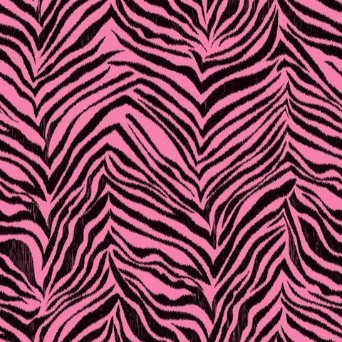 Cool Kids - Zebra CÓDIGO: KS2294 FABRICANTE: YORK RAPPORT: 52,1 CM METRAGEM: 10M X 52CM - comprar online
