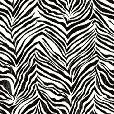 Cool Kids - Zebra CÓDIGO: KS2296 FABRICANTE: YORK RAPPORT: 52,1 CM METRAGEM: 10M X 52CM
