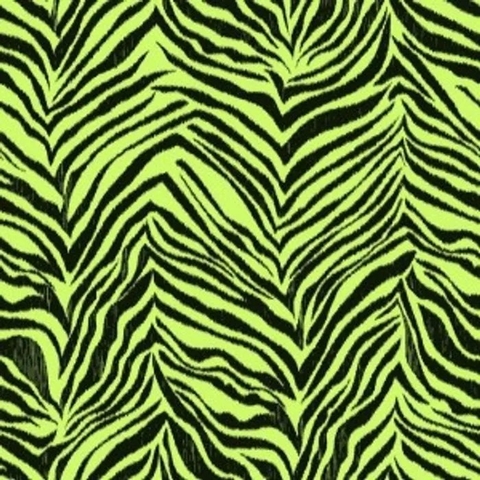 Cool Kids - Zebra CÓDIGO: KS2297 FABRICANTE: YORK RAPPORT: 52,1 CM METRAGEM: 10M X 52CM