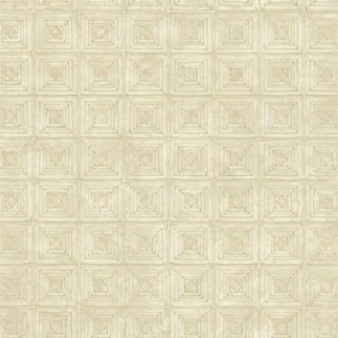 Dimensional Effects - Square CÓDIGO: TD4735 FABRICANTE: YORK RAPPORT: 64 CM METRAGEM: 0,686 X 8,20 METROS